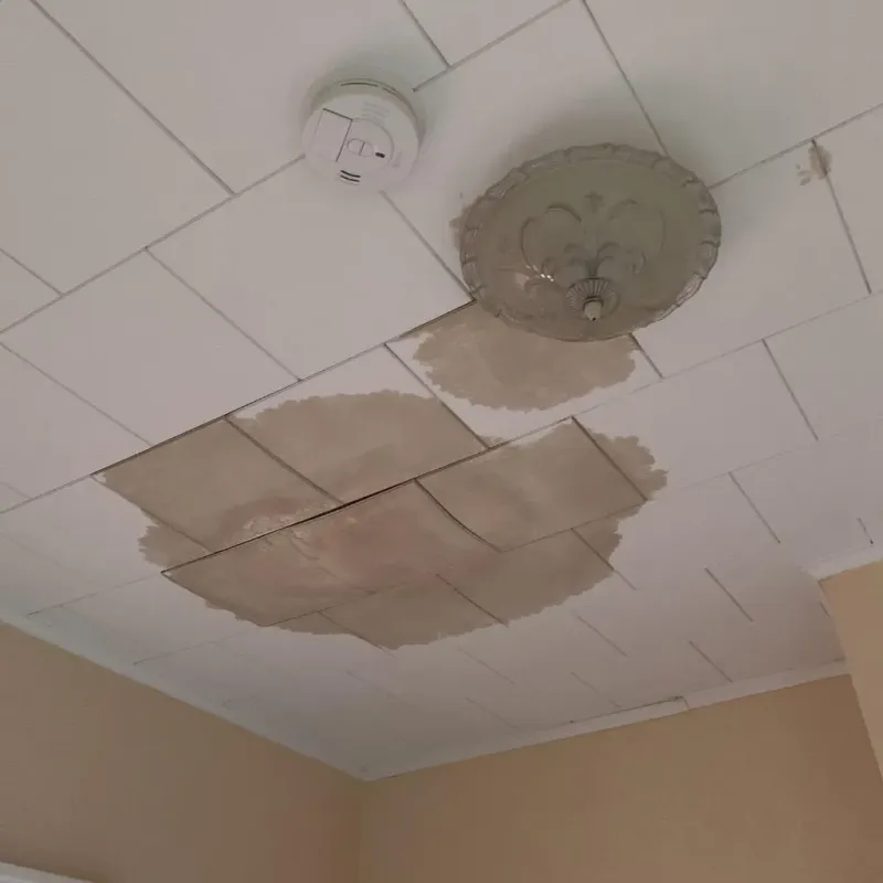 Ceiling Water Damage Repair in West Brattleboro, VT