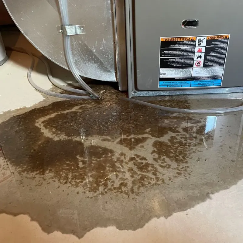 Pipe Burst and Leak Restoration in West Brattleboro, VT